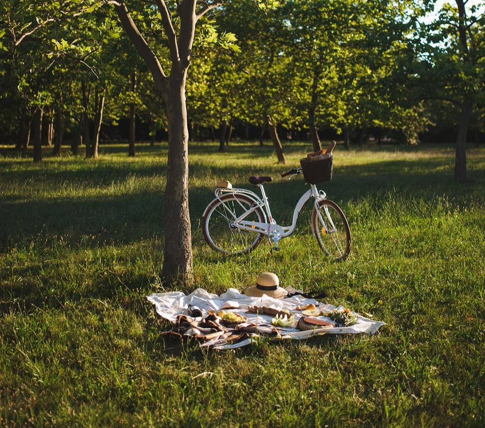 Vintage bike and a blanket with picnic snacks in a park