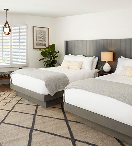 A modern bedroom with two double beds, gray headboards, white bedding with gray blankets, a lamp on a nightstand, a potted plant, wall art, a patterned rug, and sunlight coming through white shutters.