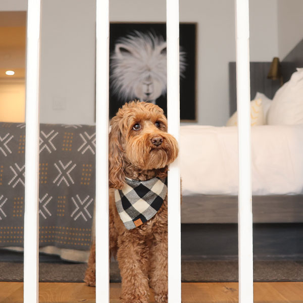 A brown, curly-haired dog wearing a black and white checkered bandana stands behind white bars in a cozy bedroom, with a bed and patterned blanket in the background—just like those featured in Special Offers at The Landsby.