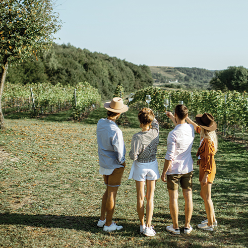 Four people stand together in a vineyard, admiring the grapevines. One raises a wine glass, enjoying the sunny scene. With rolling hills behind them, it’s the perfect day to follow a Winery Guide at The Landsby and savor local flavors.